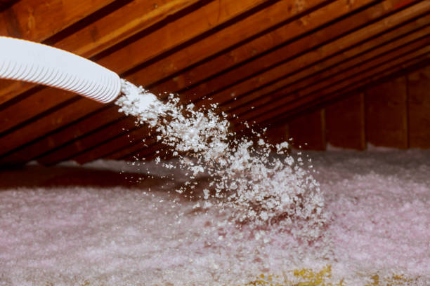 Best Local Insulation Services  in Thayer, MO