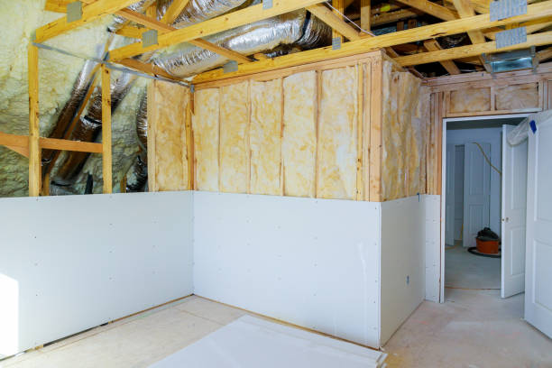 Best Attic Insulation Installation  in Thayer, MO