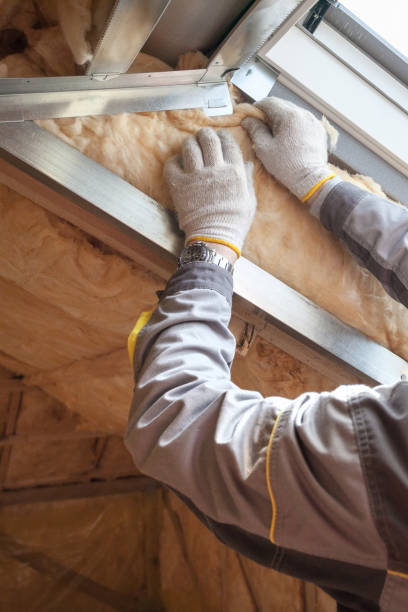 Best Commercial Insulation Contractor  in Thayer, MO