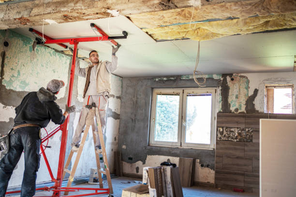 Best Insulation Removal  in Thayer, MO