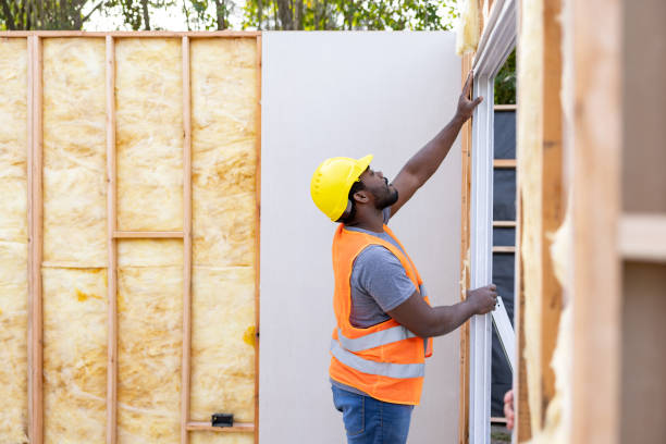Best Residential Insulation Services  in Thayer, MO