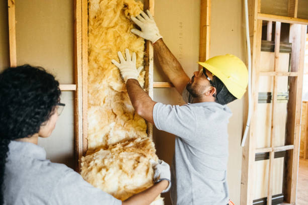 Best Wall Insulation Contractor  in Thayer, MO