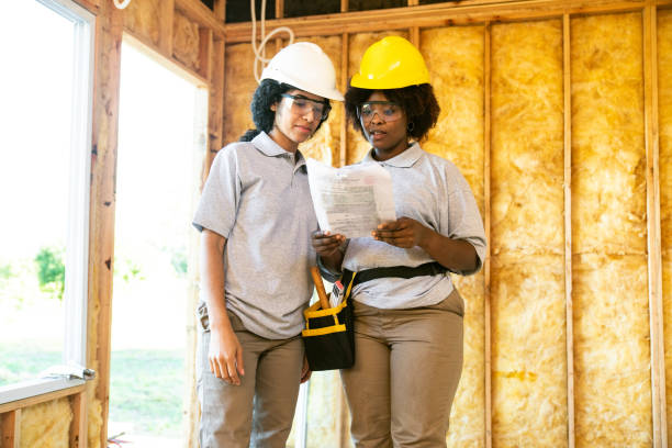 Best Attic Insulation Installation  in Thayer, MO