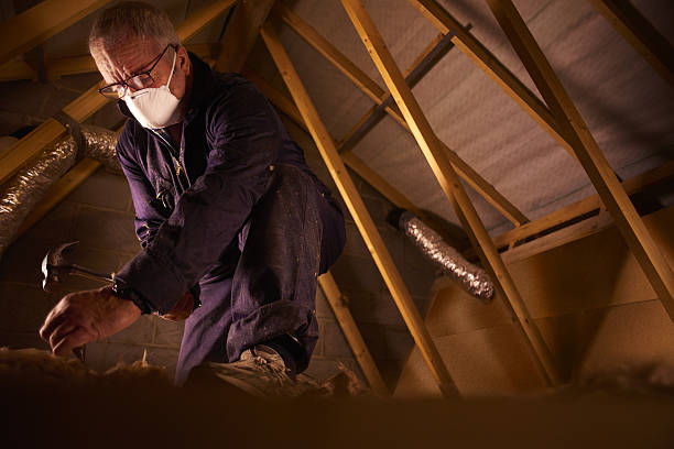 Best Affordable Insulation Services  in Thayer, MO